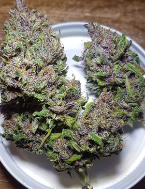 Каннабис LSD Auto Урожай LSD Auto