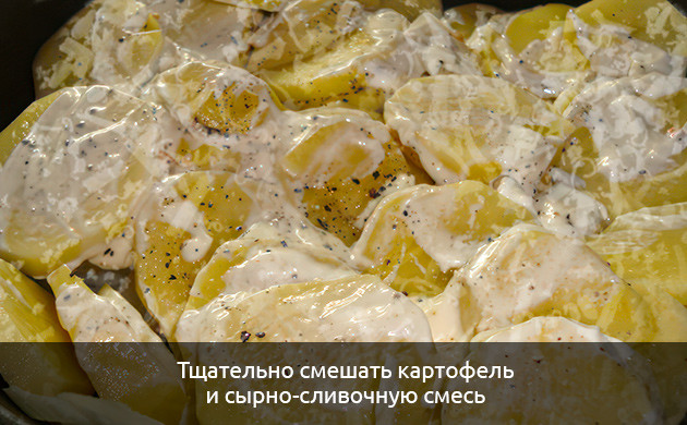 Смешайте картофель и сырно-сливочную смесь Смешайте картофель и сырно-сливочную смесь