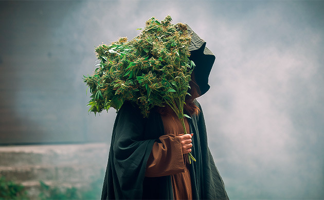 История использования каннабиса в колдовстве