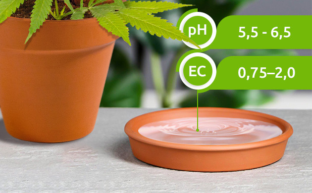Оптимальный уровень pH и ЕС Уровень pH и ЕС дренажа