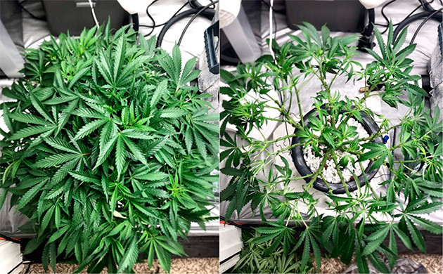 До и после тотальной зачистки