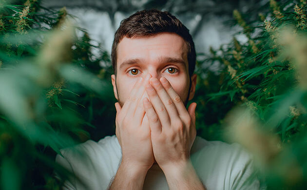 Каннабис при синдроме Туретта: как ТГК и КБД помогают уменьшить тики Может ли каннабис помочь при синдроме Туретта