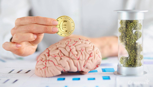 MCBT выделил 400 тысяч евро на исследования в области лечения рака каннабисом