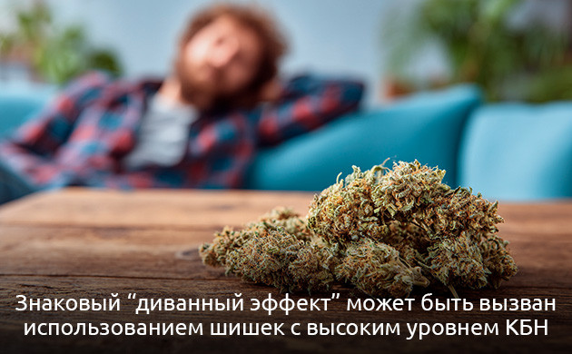 КБН: свойства и терапевтические эффекты каннабинола Каннабинол (КБН) – седативный каннабиноид с лечебным потенциалом