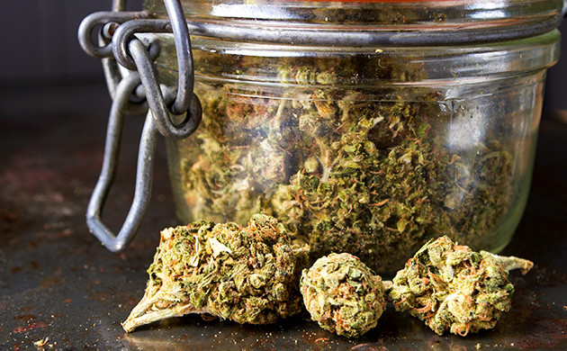 Правильная сушка и пролечка конопли Сушка и пролечка конопли