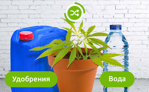 Правильная организация полива Чередование удобрений и воды