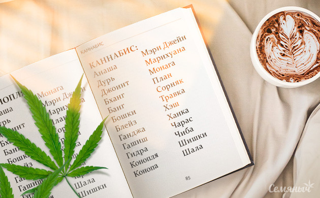 Словарь синонимов конопли и каннабиса