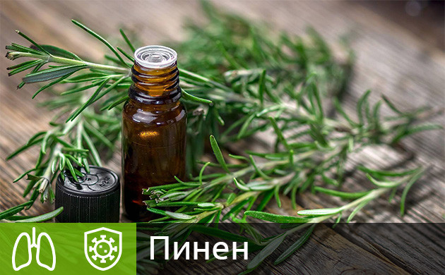 Терпен пинен