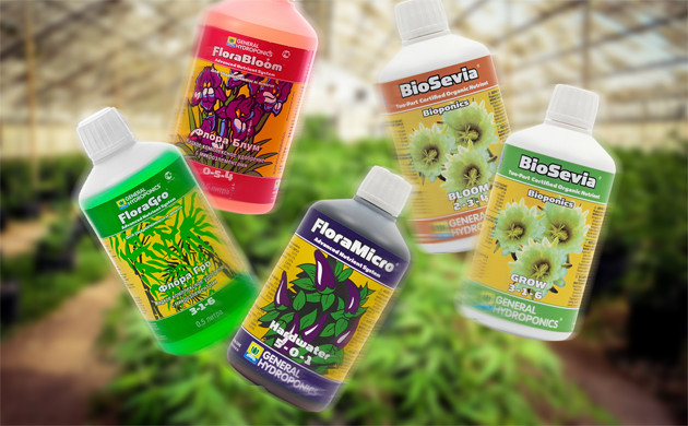 Flora Series и Bio Sevia