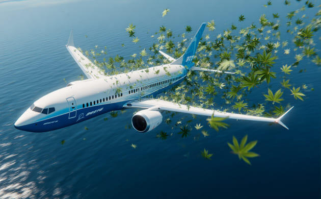 Авиация и конопляные композиты