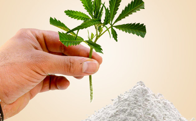 Порошковый стимулятор корнеобразования Обработка среза черенка порошком