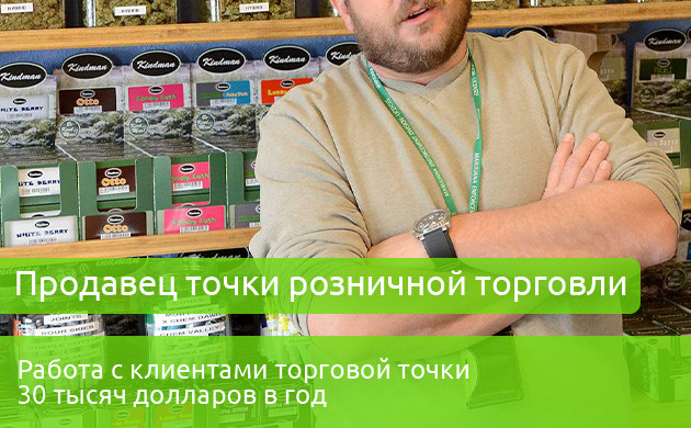 Продавец точки розничной торговли Зарплата продавца розничной торговли 30 тыс. долларов
