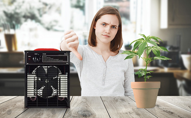 Не используйте генераторы озона в домашних условиях Генератор озона