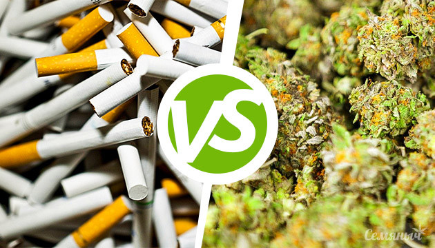 Сигарет или марихуаны Сигареты vs марихуана