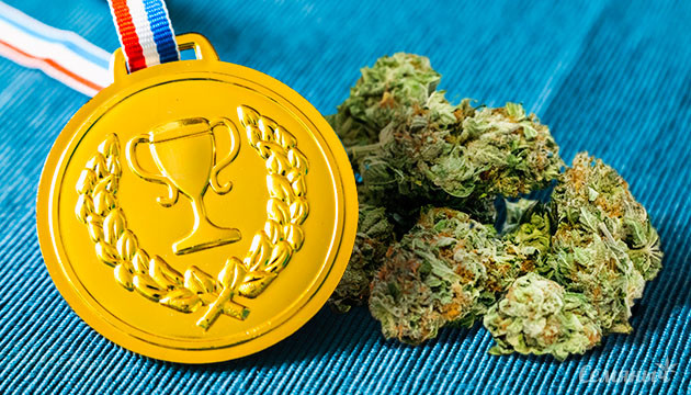 Конопля с медалью