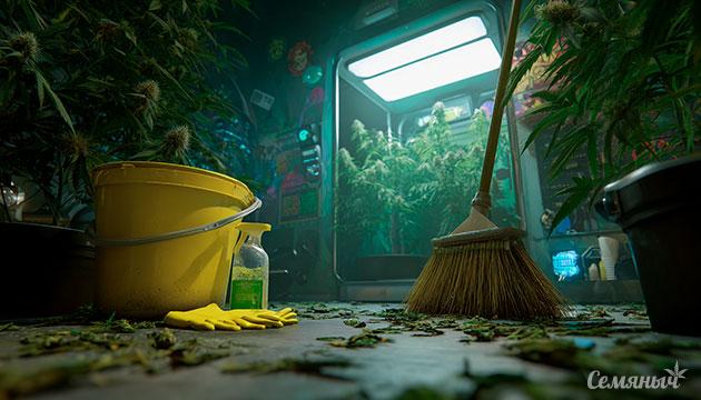 Генеральная уборка гроубокса: чистота — залог урожая и защиты растений Чистый гроубокс для здорового роста конопли и высокого урожая