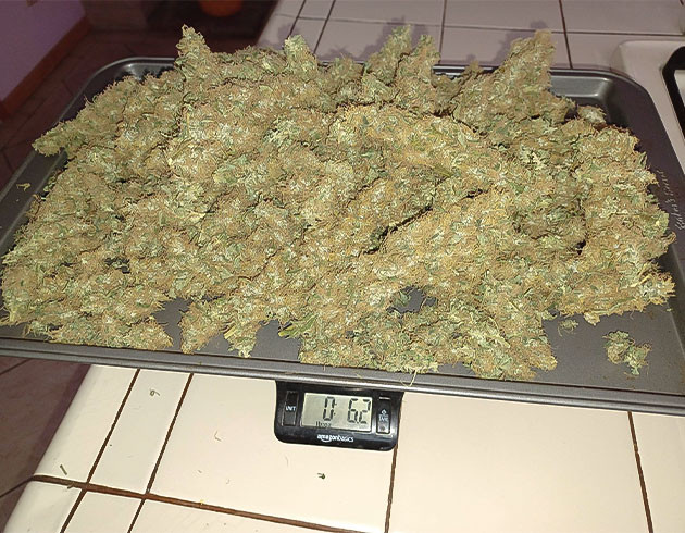 Завершение грова Blueberry Hill Финальный эффект и вкус Blueberry Hill