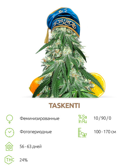 Taskenti от сидбанка Семяныч