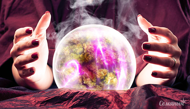 4 женщины использовавшие коноплю для мистицизма Конопля и мистицизм