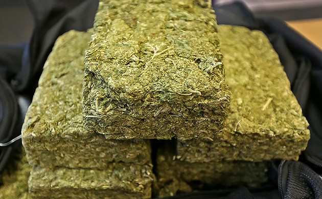 Как делают прессованную коноплю Процесс заготовки прессованного каннабиса