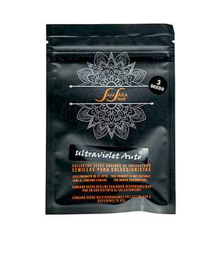 Ultraviolet Auto fem (Samsara Seeds)