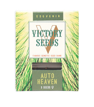 Auto Heaven fem (Victory Seeds)