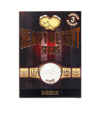 Budzilla fem (Heavyweight Seeds)