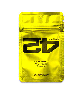 Papaya Sherbet fem (FastBuds)