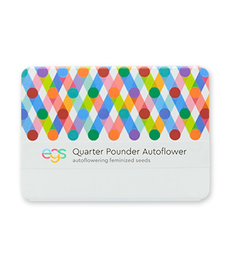 Quarter Pounder Autoflower fem (Easy Grow Seeds)