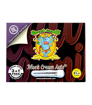 Black Cream Auto fem (Sweet Seeds)