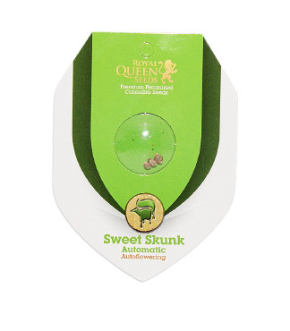 Sweet Skunk Automatic fem (RQS)
