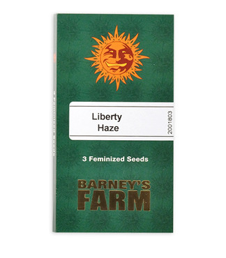 Liberty Haze fem (Barney's Farm)
