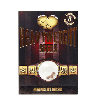 Midnight Mass fem (Heavyweight Seeds)