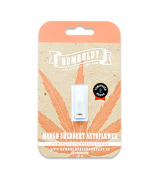 Mango Sherbert Auto fem (Humboldt Seed Company)