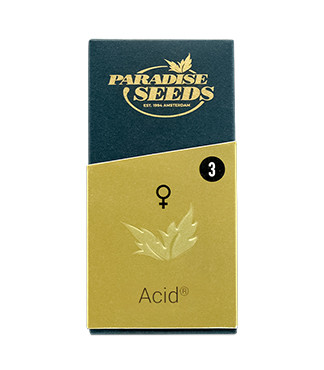 Acid fem (Paradise Seeds)