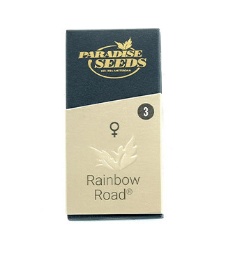 Rainbow Road fem (Paradise Seeds)
