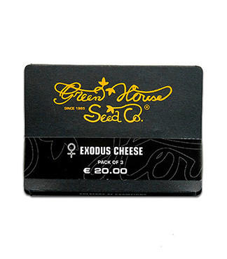 Exodus Cheese fem (GHS)