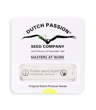 Bubba Island Kush fem (Dutch Passion)