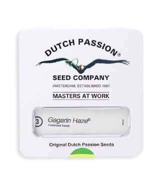 Gagarin Haze fem (Dutch Passion)
