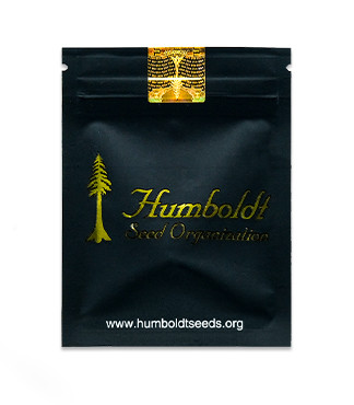 Ice Cream Cake Fast Flowering fem (Humboldt Seed Organization)