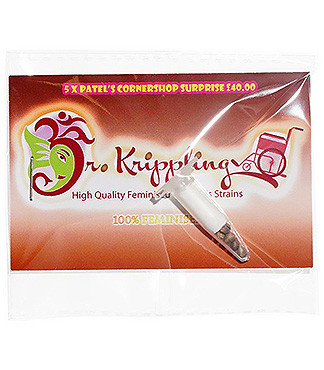 Patel's Cornershop Surprise fem (Dr. Krippling Seeds)