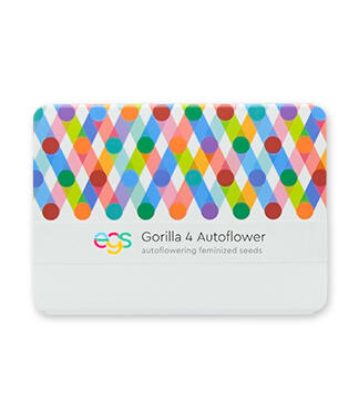 Gorilla 4 Autoflower fem (Easy Grow Seeds)