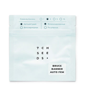 Bruce Banner Auto fem (Семяныч)