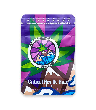 Critical Neville Haze Auto fem (Delicious Seeds)