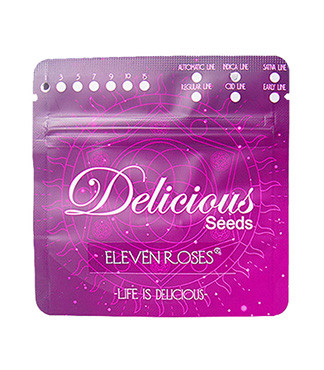 Eleven Roses fem (Delicious Seeds)