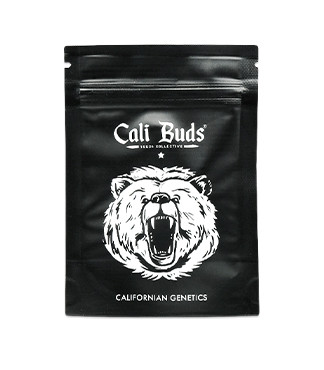 Gorilla Glue #4 fem (Cali Buds Seeds)