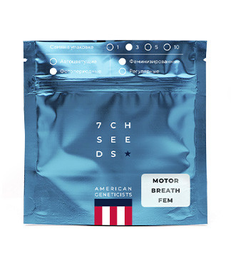 Motor Breath fem (7CH American)