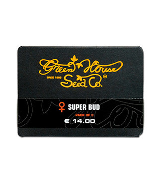 Super Bud fem (GHS)