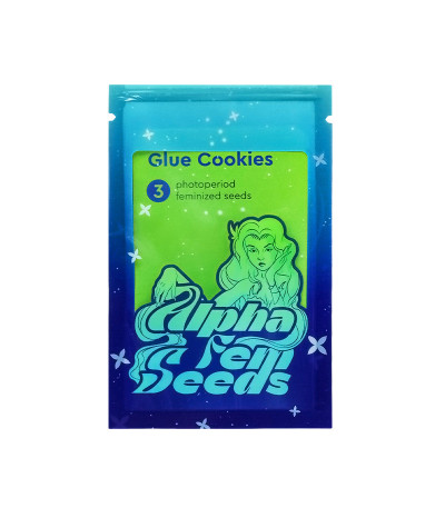 Семена сорта Glue Cookies fem (AlphaFem Seeds)
