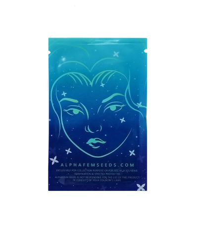 Семена сорта Mandarin Thuggee fem (AlphaFem Seeds)